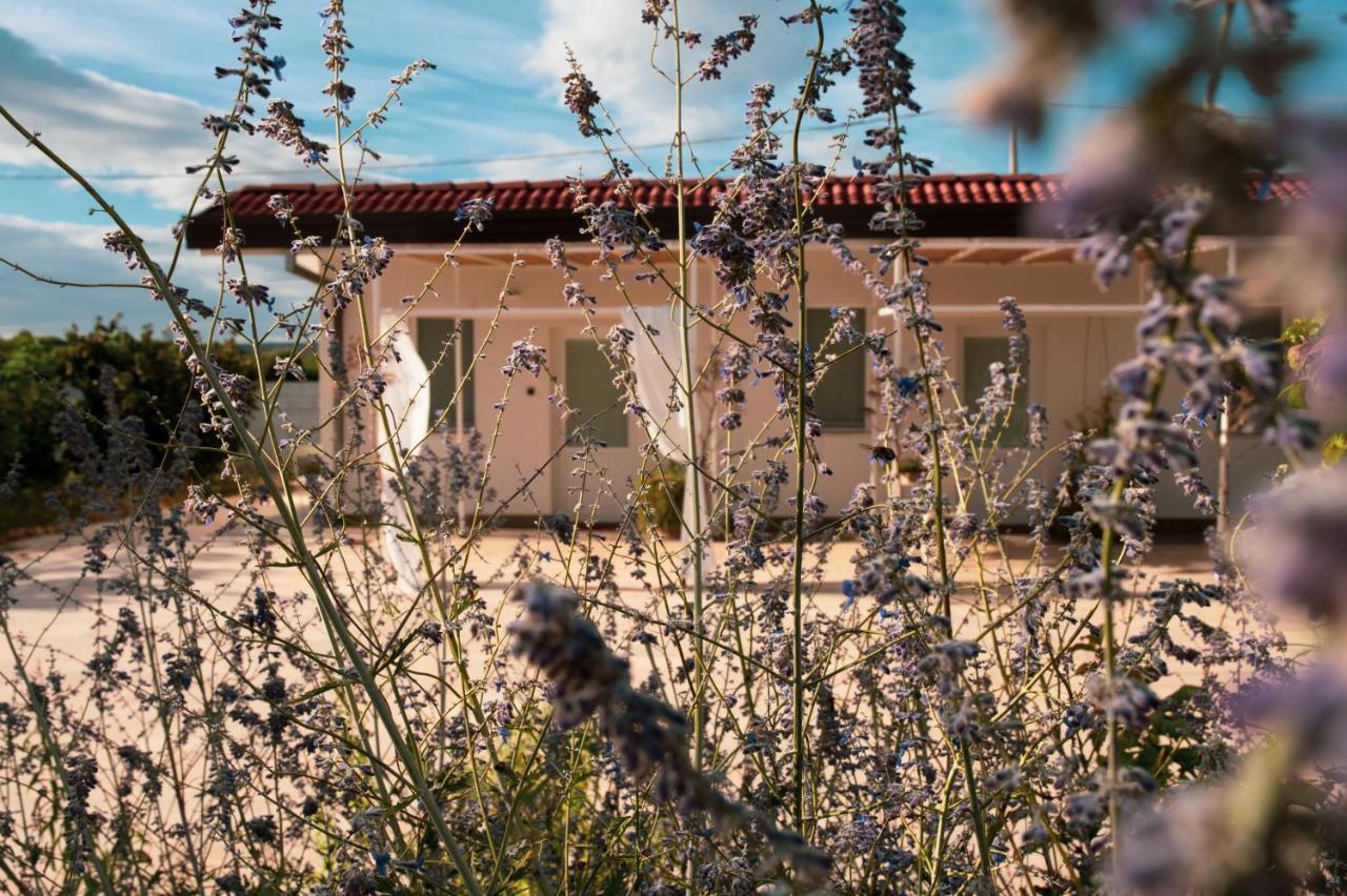 B&B La Ferula Altamura Εξωτερικό φωτογραφία